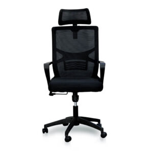 Black Mesh Ergonomic Office Chair with Headrest