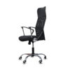 The Mesh Muse, a modern mesh back office chair