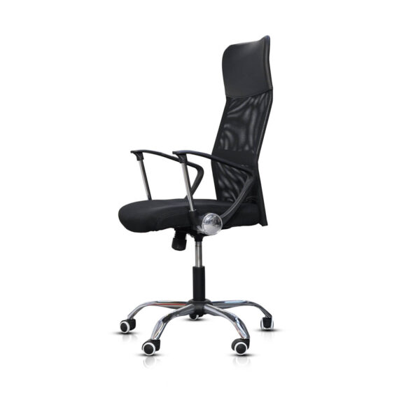 The Mesh Muse, a modern mesh back office chair