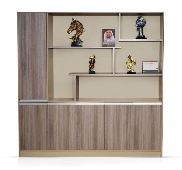 Dynamics Nice High Quality Bookshelf &Cabinet for Office Home Hotel